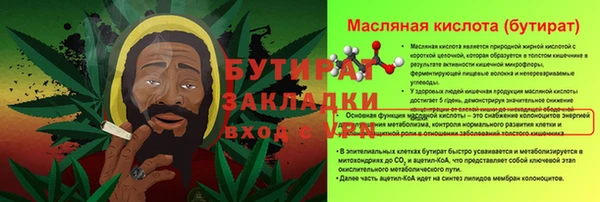 крисы Богородицк