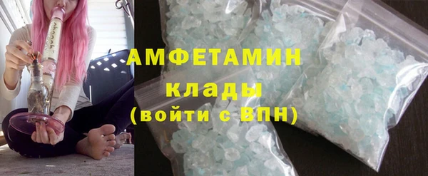 крисы Богородицк