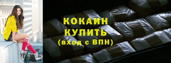 крисы Богородицк