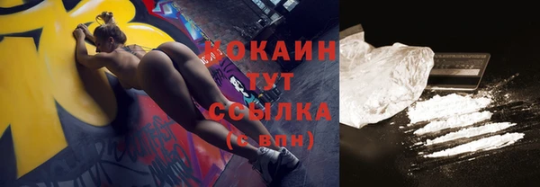 индика Богданович