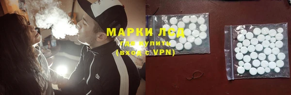 крисы Богородицк