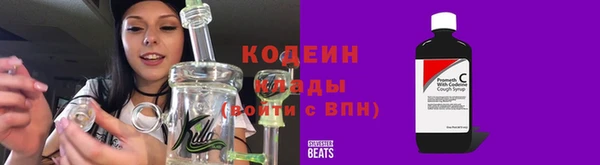 крисы Богородицк