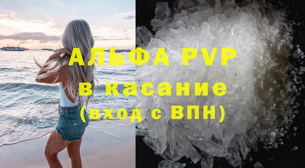 индика Богданович