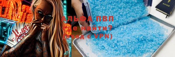 крисы Богородицк