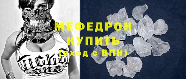 индика Богданович