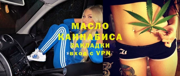 индика Богданович