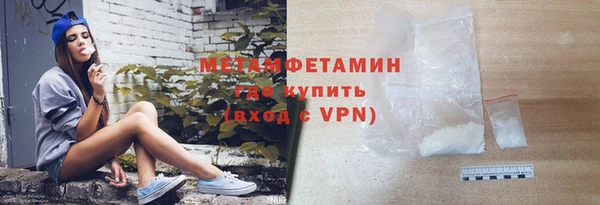индика Богданович